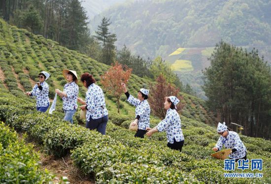 ���������5�������ꖣ����ղ�ɽӭ�́�