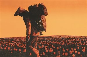 ������Դ �残(hu��)40��ġ��С��c��׃��