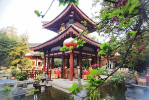 ���Ʋ��ฮ�Ƶ��e�k12�����c���
