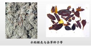 �۽���ʯ���r����Ҫ���Űl(f��)�F(xi��n)���о� ��������ְl(f��)��5헿��ųɹ�