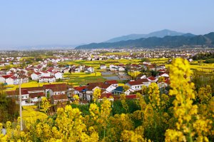 �����h�У��Gɫ��� �e��֮��