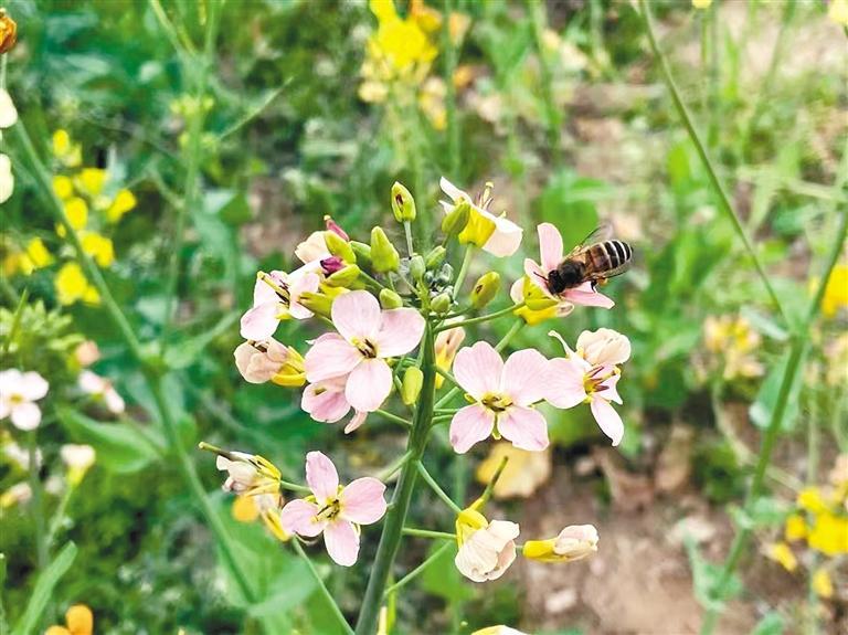 ʢ�_�ġ��߲��Ͳ˻���