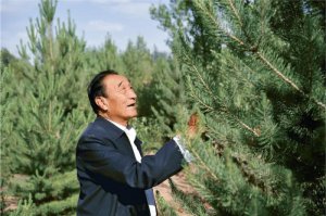 ʯ���y����ɳҪһ����һ������ȥ