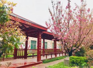 �����е���ʮ�ЌW(xu��)��У���`�����B(t��i)�������� ��(sh��)�F(xi��n)�h(hu��n)������Ŀ��(bi��o)