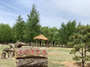������ꖣ��l(f��)չ�������(j��ng)���� �����l(xi��ng)�����d�t��