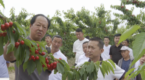 �����о�߅�hϯ�鞳�(zh��n)�����҈@������潛(j��ng)�� �����l(xi��ng)�����d��