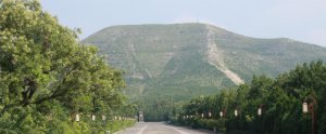 �ѳ��Ƙ��꣺�Ї���ֺ��ʮ�������Ĺ֮һ