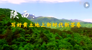 ϲӭ��ʮ�������������S�������r���´��