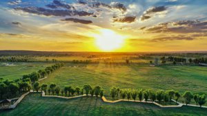 ��ľ�����m(x��)�����d����  �`�ų���������