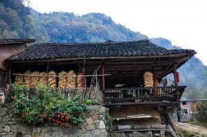 �Ї���������ϵ��ٔ�(sh��)����Ǽ��vʷ�YԴ���Ļ����c(di��n)