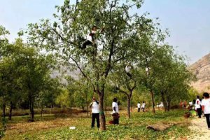 �����и��ȿh�����t��ɫ�a(ch��n)�I(y��)�����l(xi��ng)�����d �闗�r(n��ng)����(l��i)�¡��X��;