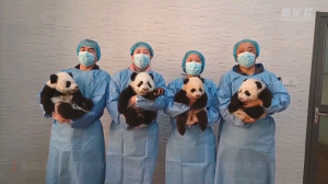 ���Aȫý+ح���w���R���؎X����؈����(ji��)��ף����