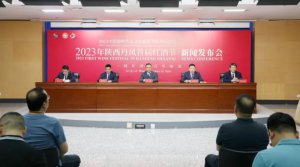 2023��������P�׌üt�ƹ�(ji��)���Ƴ�ʮ�(xi��ng)���