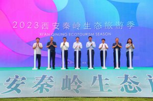 �������}39�(xi��ng)���(d��ng)  2023�����؎X���B(t��i)���μ���Ļ