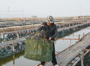 ����ʮ�����ږ|�ء����I(y��)ƪ | μ���д���h�������}�A�� �����~(y��)�r��