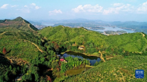 ����ѩ�Q���y�Q��(l��i)�ˆ᣿�����ɕ�(hu��)��(w��n)�𡤿���(sh��)ӛ�Ġ����