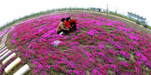 μ���д���h���p�����e�ô���
