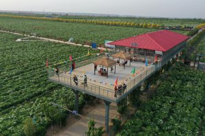 μ���к��(y��ng)�h������ĵ��֮�s ������퍷��(zh��n)