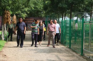 ���ʡ�ЌW(xu��)��(sh��)�`�����f(xi��)����μ����ʾ���ԾC�ό�(sh��)�`���ؿ����{(di��o)��