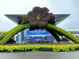 �����������M�����w� ӛ�ߎ���������z·�ò���