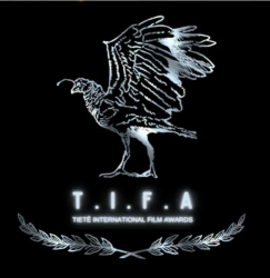 ����o(j��)�Ƭ���߽����t(y��)���@����TIFA-Tiet�� ���H�Ӱ��(ji��)���y����