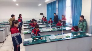 μ���д���h��IС�W(xu��)�������F(tu��n)�_չ�W(xu��)���ƌW(xu��)���B(y��ng)�u(p��ng)�����(d��ng)