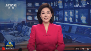 ����˼�����I(l��ng)�����̡���P��(y��u)�����L(f��ng) ��ֲ�҇����