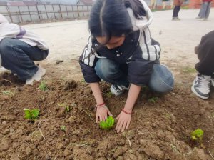 ���l(xi��ng)�h����(zh��n)���С�W(xu��):����У�@���¾G�����������­h(hu��n)��