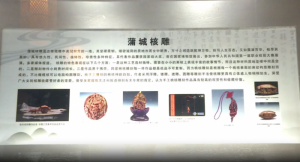 �ѳǷ��z�����²� ��헼�ˇ���x�м����