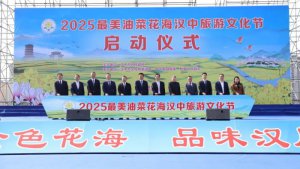 2025�h�������Ͳ˻��������Ļ���(ji��)ʢ���_Ļ