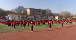 �Aꎣ��(y��ng)����n�g�������p�p�������䌍(sh��)