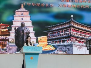 2025ȫ��������ϵ�y(t��ng)������˲����_