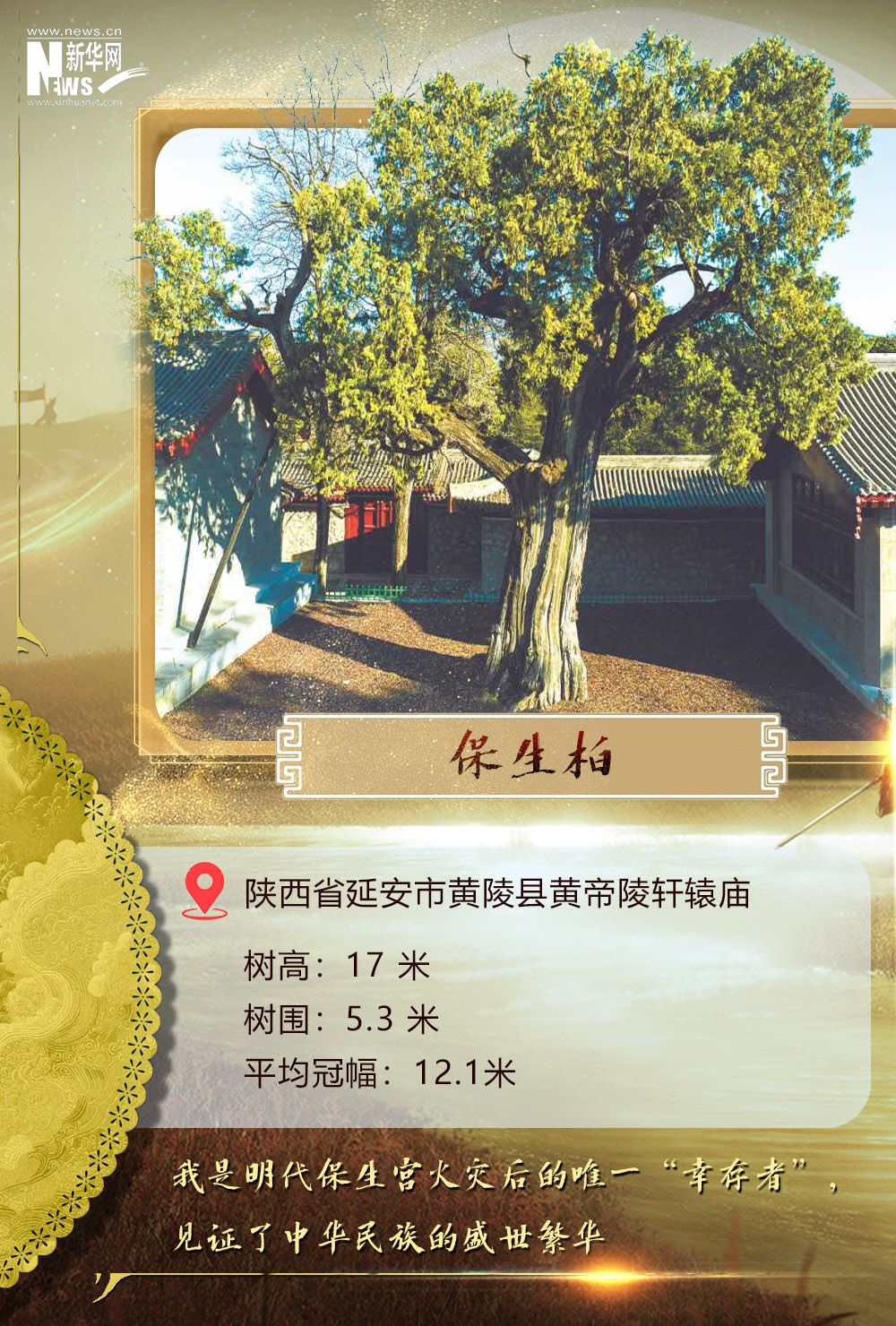 c806dd6e6c0ad77906c29ce6d207f537.jpeg