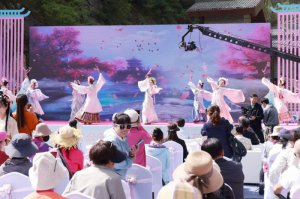 ӭ��(l��i)����^�p��������̫ƽ��(gu��)��ɭ�ֹ��@�f(w��n)�����G���`��