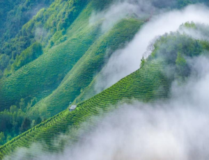 ����������l(xi��ng)