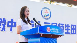 ��ľ���I(y��)���g(sh��)�������ĵ�ʮ���Î�����\(y��n)�ӕ��A�M�]Ļ