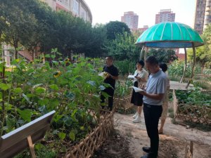 μ�ϸ߼�(j��)�ЌW(xu��)��һ�꼉(j��)�ڄ�(d��ng)��(sh��)�`����ϲ�@�S��