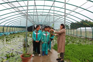 ��(chu��ng)��(sh��)�`�c(di��n)ȼ�ƌW(xu��)���� ��Ԫ�w�(y��n)�����Ļ����񡪡�μ���к�ꖿh����m��S�l(f��)���x��������ƌW(xu��)���B(y��ng)����