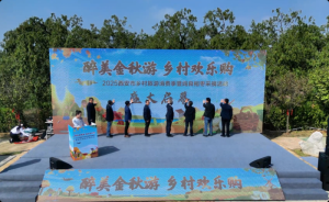 �����l(xi��ng)���������M(f��i)����Ļ    ʮ�l���ﾀ·���͹��p�S��ʢ��