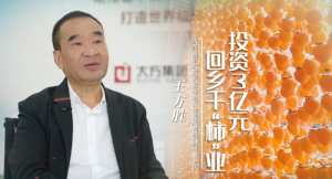 Һҵμ | ٣ͶY3|Ԫ l(xing)ɡI(y)