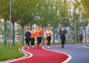 �ñ������������c�Ҹ�