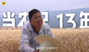 <b>�L(zh��ng)�����f��</b>