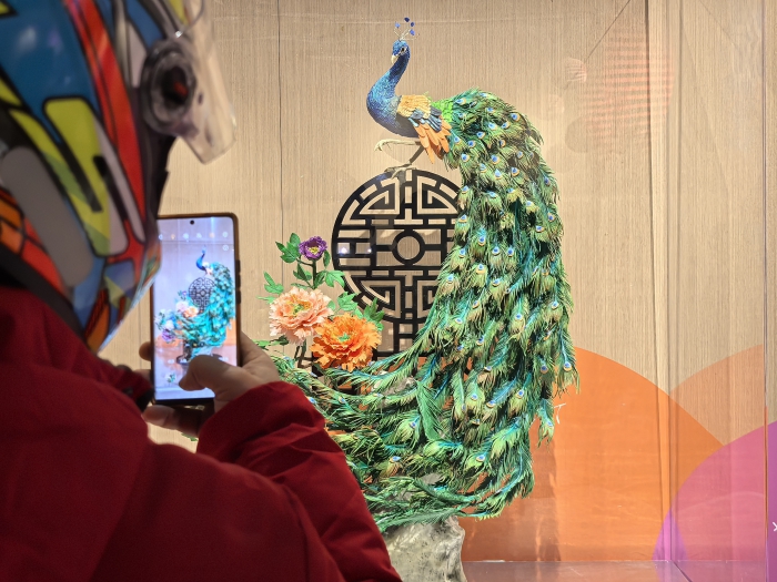 �����������p��ӛ��滨���ܣ���Ʒ �����Ôz (2).jpg