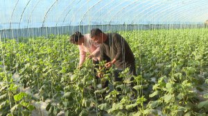 μ�ϴ��������(zh��n)����������S������ ������(ji��)�a(ch��n)�I(y��)���r(n��ng)����