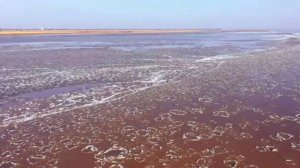 �S�Ӵ���ν��״γ��F(xi��n)����