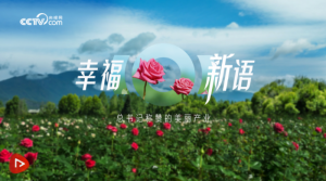 �r(sh��)��΢�o(j��)䛣��Ҹ����Z��������ӛ�Qٝ�������a(ch��n)�I(y��)